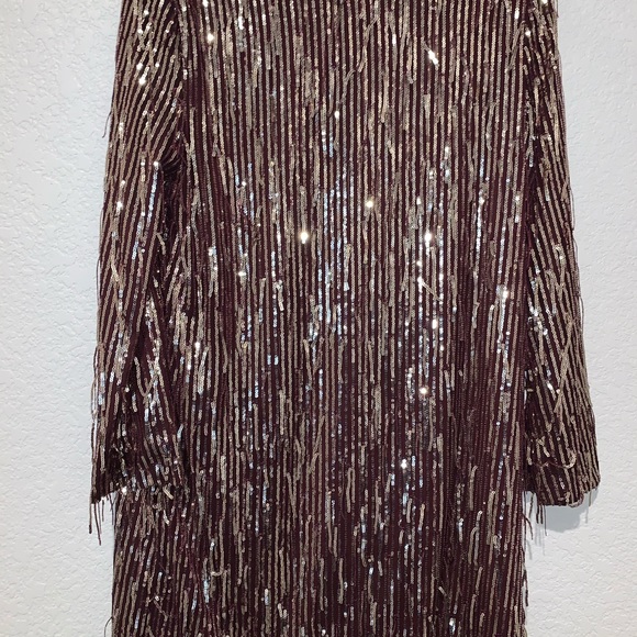 New Zara Fringe Burgundy Sequin Fringe Mini Dress - Picture 8 of 8